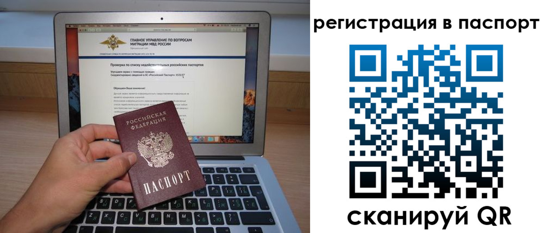 прописка паспорт в Мурманской области